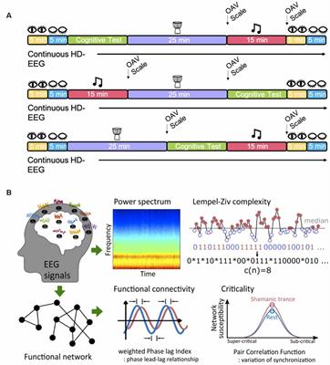 Neural Correlates of the Shamanic State of Consciousness